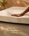 Natural Latex Compressed Mattress | 2-Layer Support - Foamexo